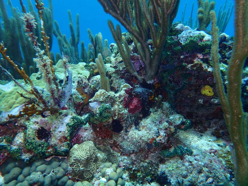 カンクン海底美術館