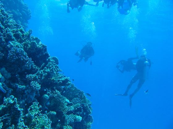 Mun Island Diving Tour