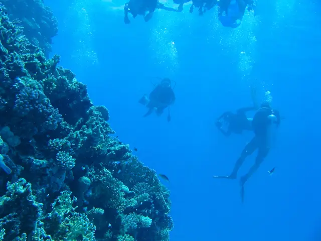 Diving in Nha Trang