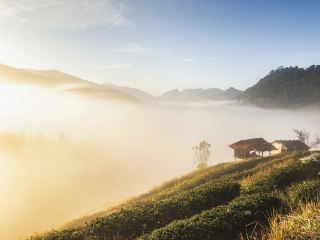 10 โรงแรมหรูยอดนิยมในฝาง