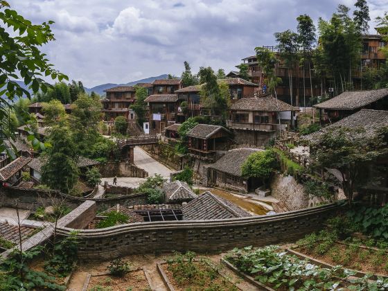 Boyuan Tea Village