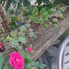 重庆聚义亭私人火锅 User Photo