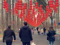 A Day of Fun at Chongming Island