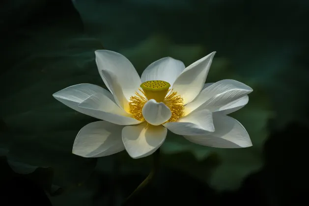 Отели с услугой Завтрак в г. Асан