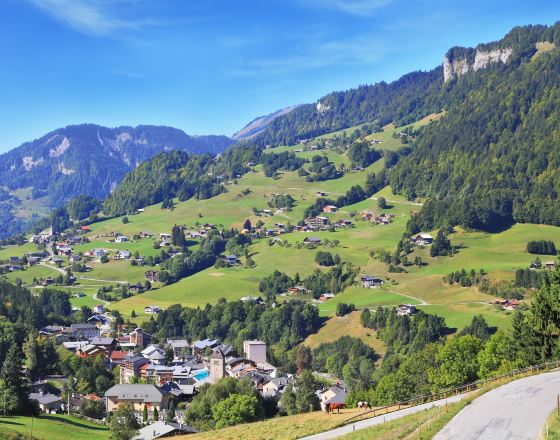 萊森 自由行套票