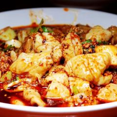 張記肥腸張用戶圖片