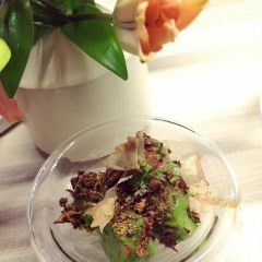 Adam/Albin User Photo