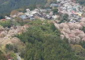 4月のカレンダーと旅行先のおすすめ