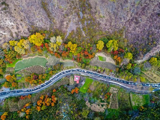 Jinchuan Red Leaf Valley