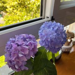 HsK Kebab Van User Photo