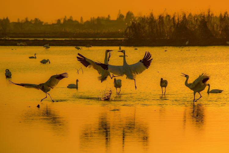 Compare 5 airports near Nanchang County