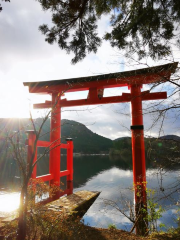 箱根神社 平和的鳥居