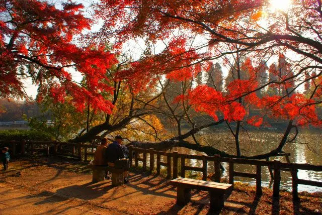 도쿄여행