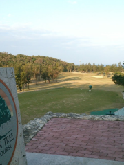 Banyan Tree Golf Course