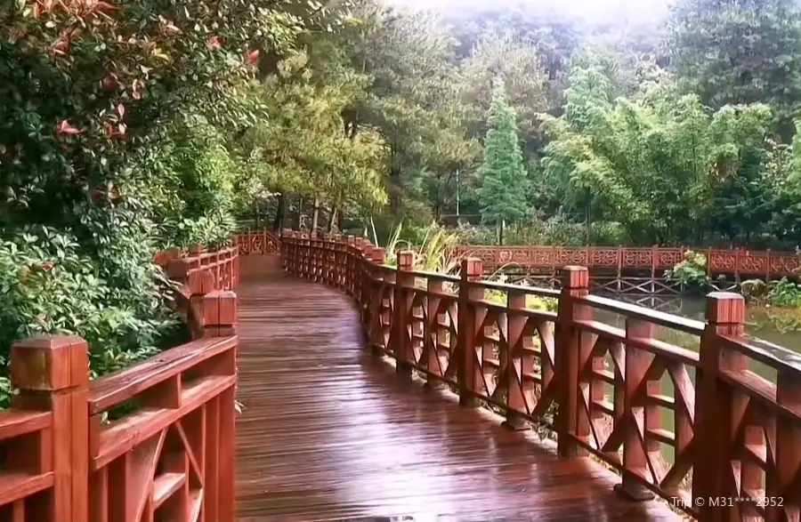 Zijin Park