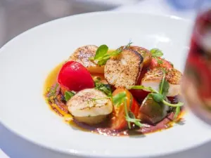Bluebird Chelsea