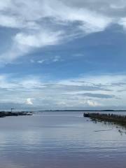 Beilun Estuary Nature Reserve