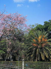 Parque Colón