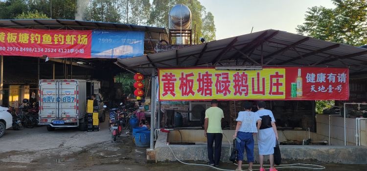 HUANG BAN TANG DIAO YU DIAO HA CHANG