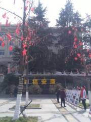 Shiwei Square