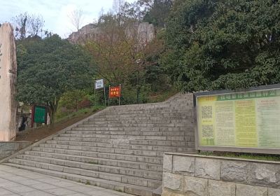 Huaguo Mountain Forest Park