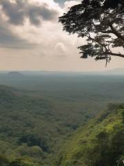 Khao Yai National Park