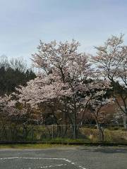Kumakoue Park