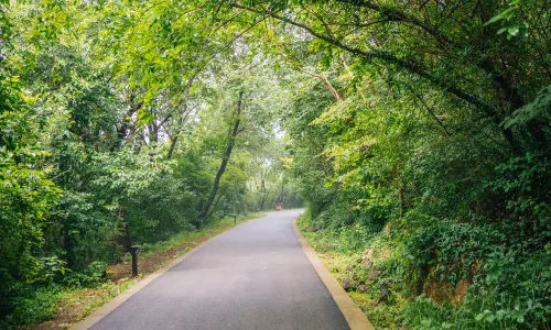 大蜀山國家森林公園