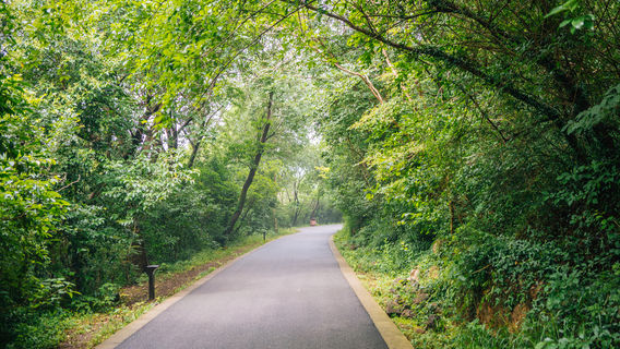 Dashushan National Forest Park