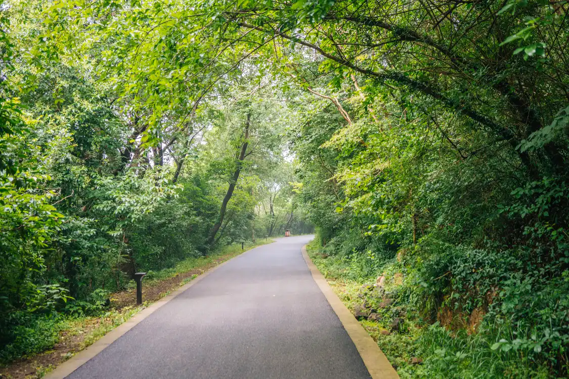 Hotels near Dashushan National Forest Park