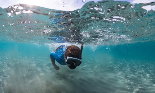 Diving in Pattaya