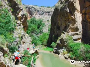El Gollizno Route