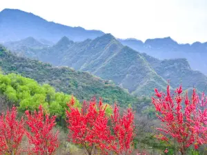 Qinling Mountains