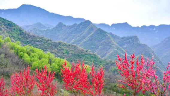 Qinling Mountains