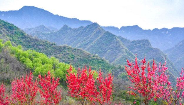 A Winter Wonderland in Xi'an: Exploring the Snow-Covered Qinling