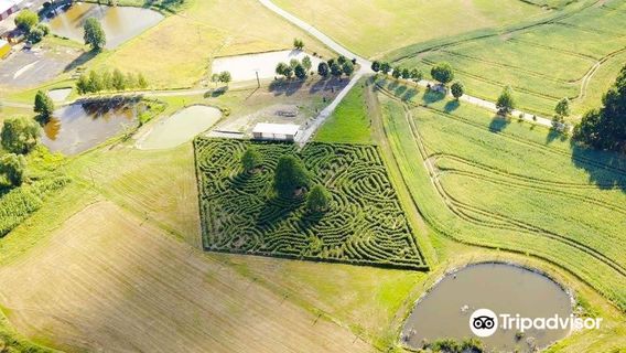 Obludiště Dolní Pěna