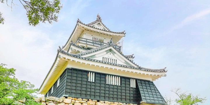 Hamamatsu Castle
