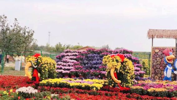 Fairy Flower Valley Scenic Area