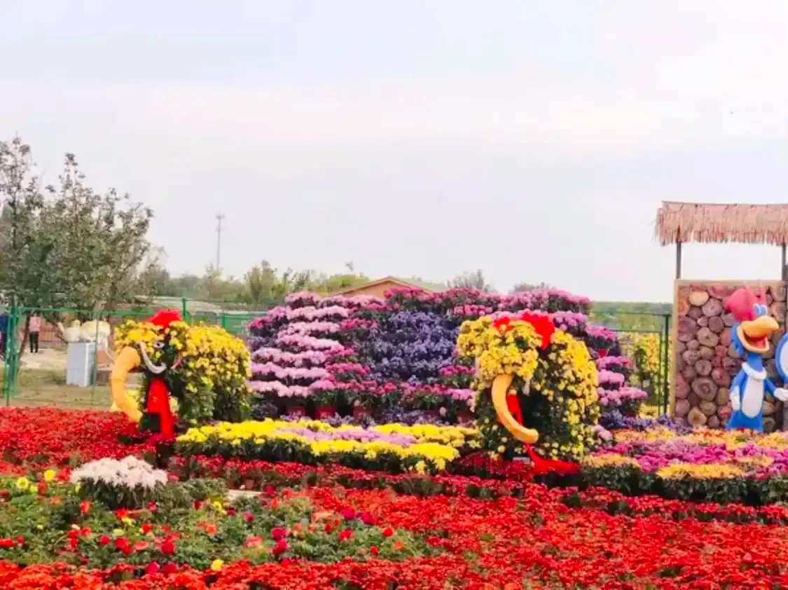 Hotels near Fairy Flower Valley Scenic Area