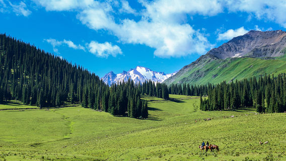 Nalati National Forest Park
