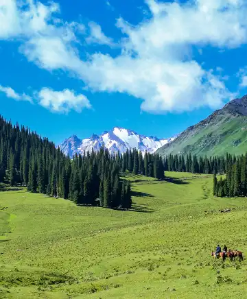 Hotels near Nalati National Forest Park