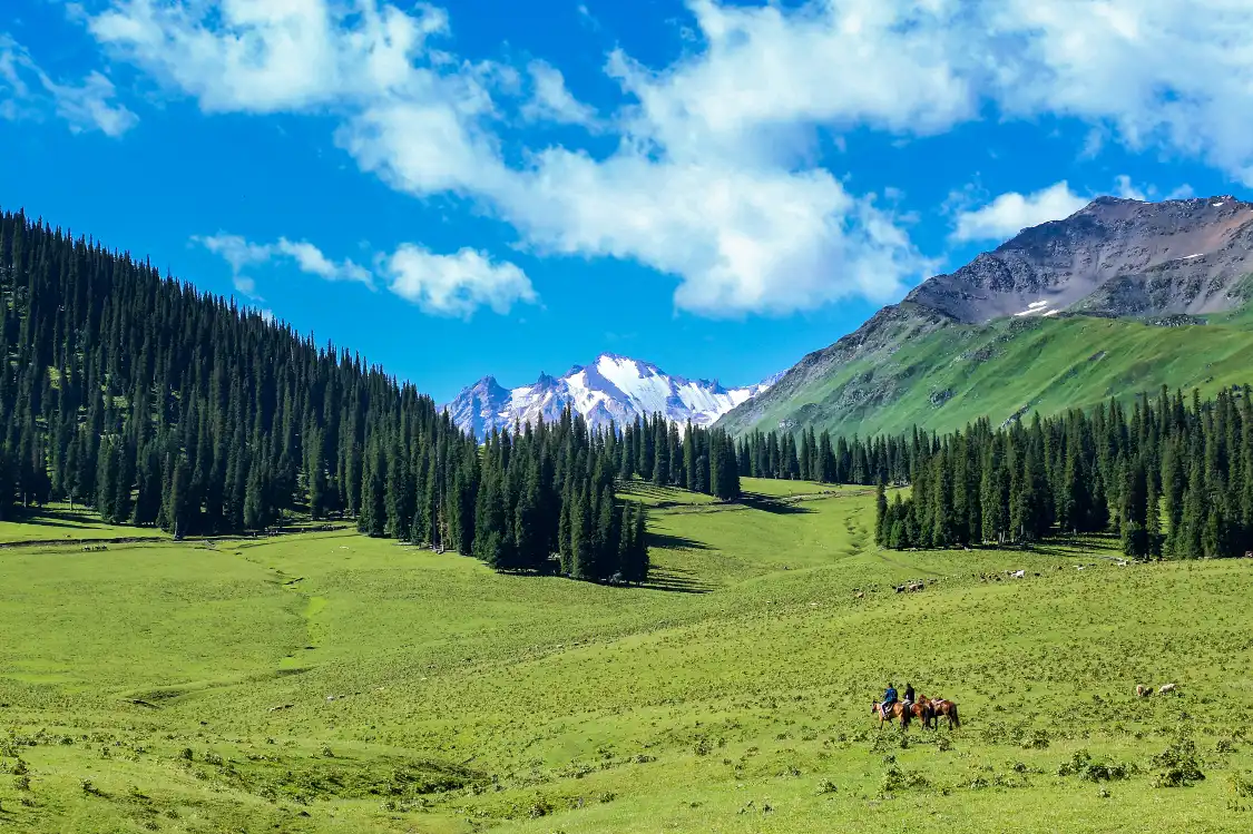 Отели рядом с достопримечательностью «Nalati National Forest Park»