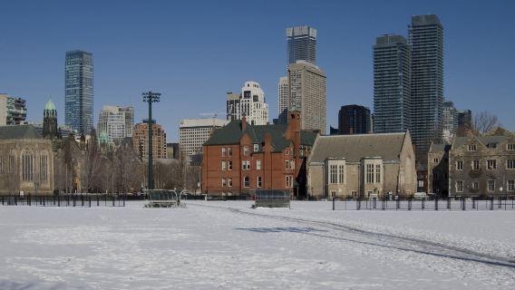 Lawatan sehari ke Menara CN + Kepulauan Toronto + Istana Casa Loma dengan perkhidmatan dwibahasa Cina-Inggeris