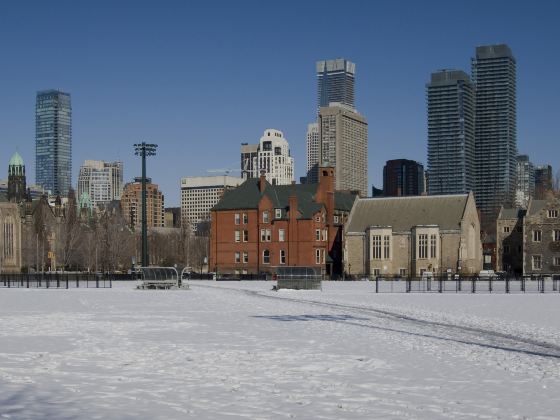 University of Toronto