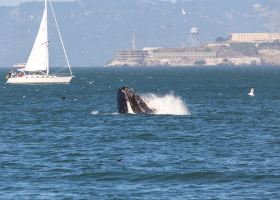 Best hotels near Los Angeles Convention Center