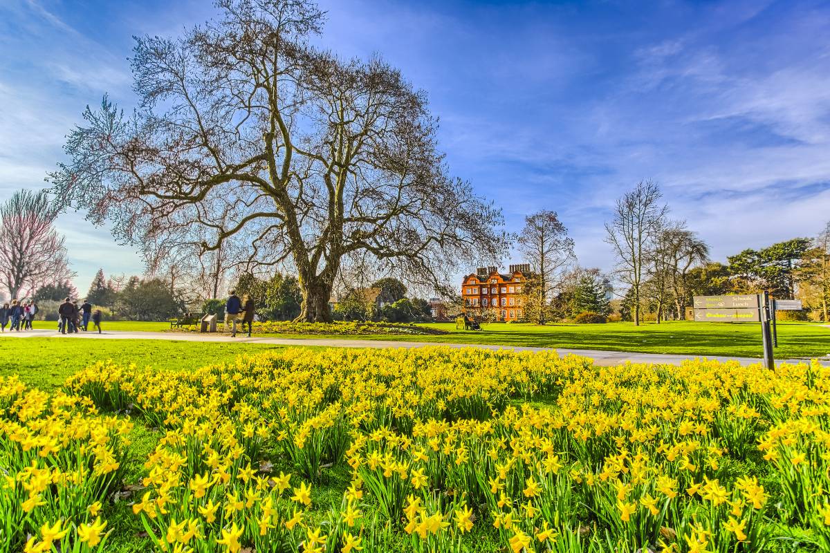 Kew Garden