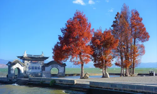 Longkan Ancient Ferry