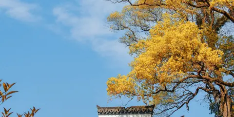 信江書院