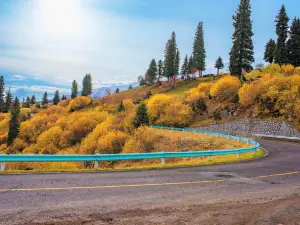 Duku Highway