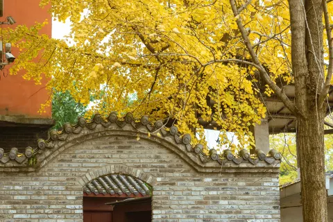 Baolun Temple